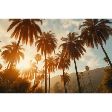 Palm Trees Sunset canvas